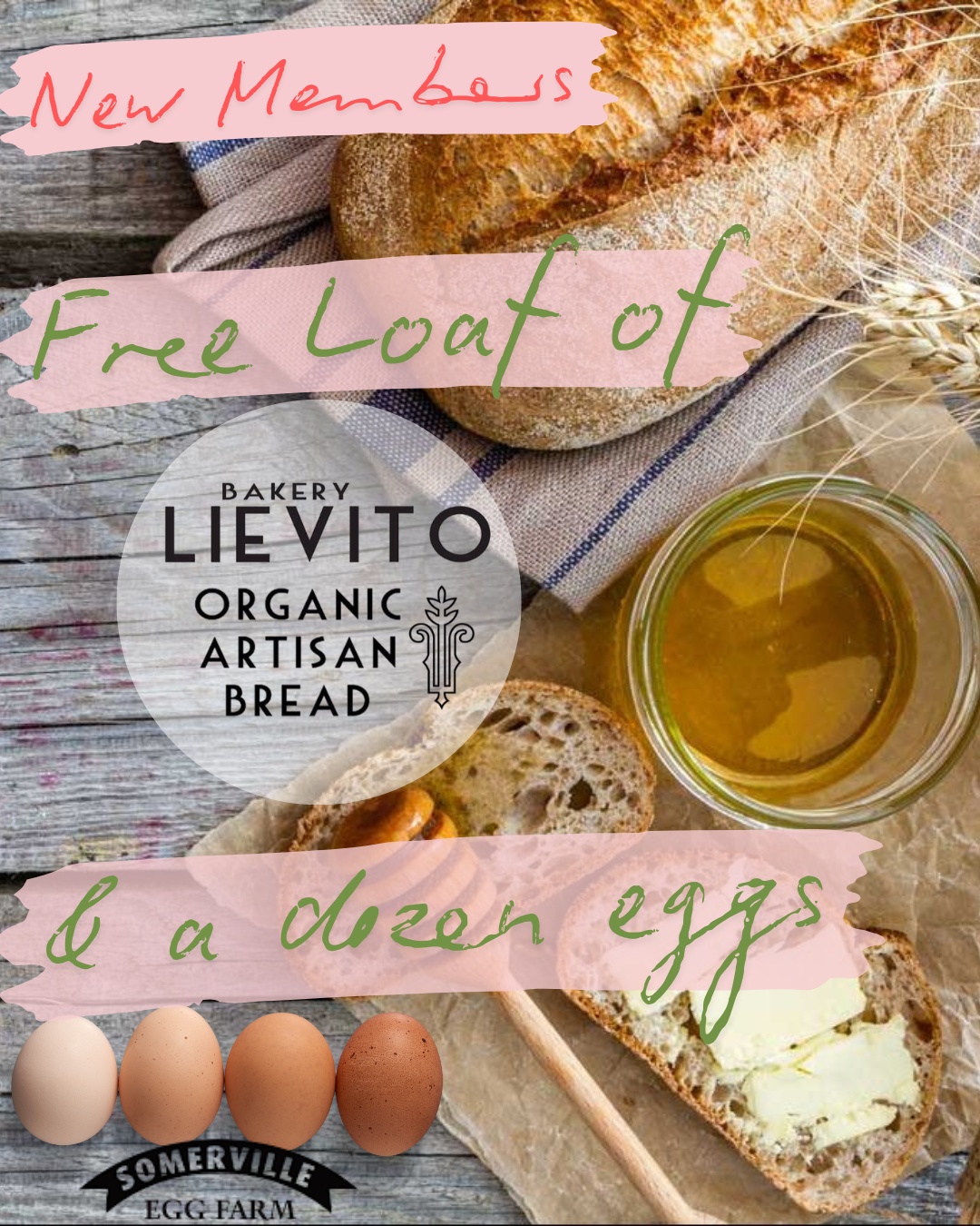 Free loaf of artisan bread and a dozen eggs for new members